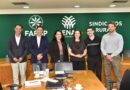 CNA discute acesso de produtores aos recursos do Funcafé e fortalecimento da marca Cafés do Brasil